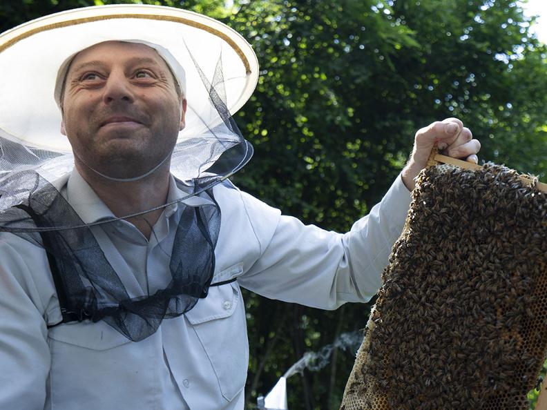 Image 0 - Découvrir les abeilles d'Oreste - visite du rucher avec dégustation